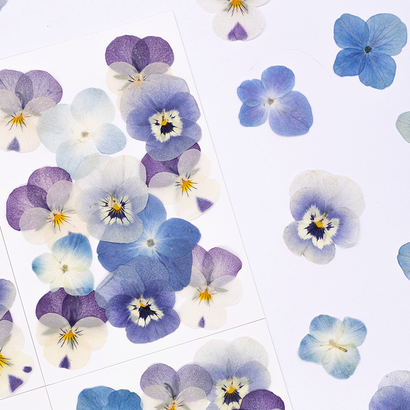 12 peças, Pétalas Naturais de  - Dried Flower Bookmark avaliação e preço