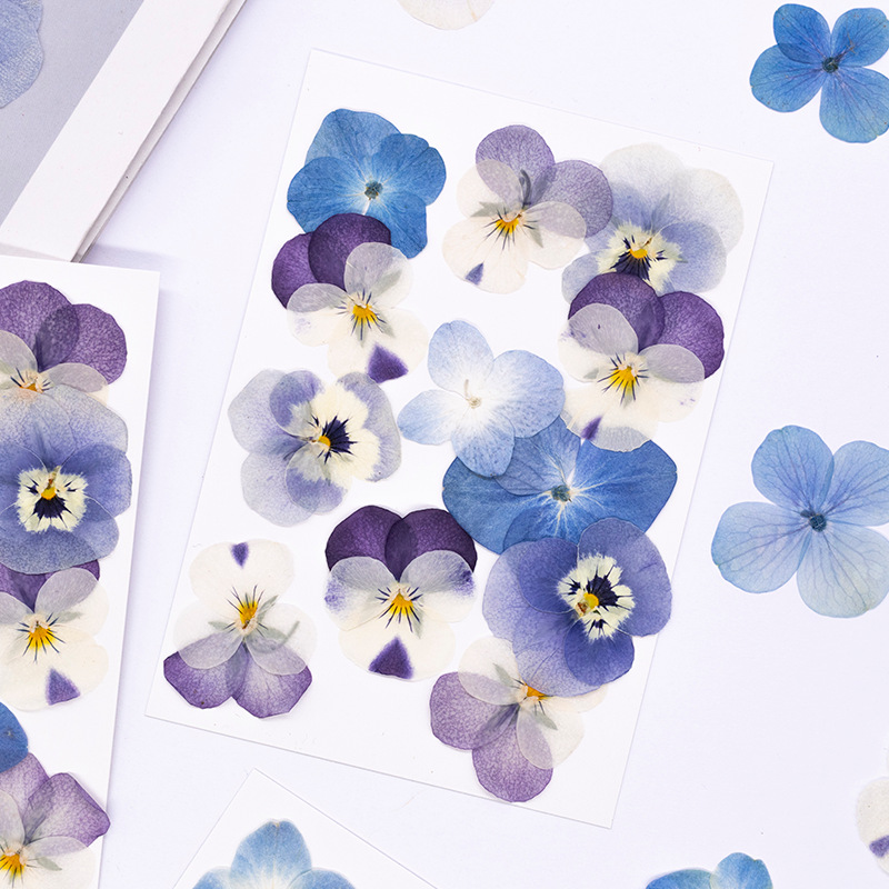 12 peças, Pétalas Naturais de  - Dried Flower Bookmark avaliação e preço