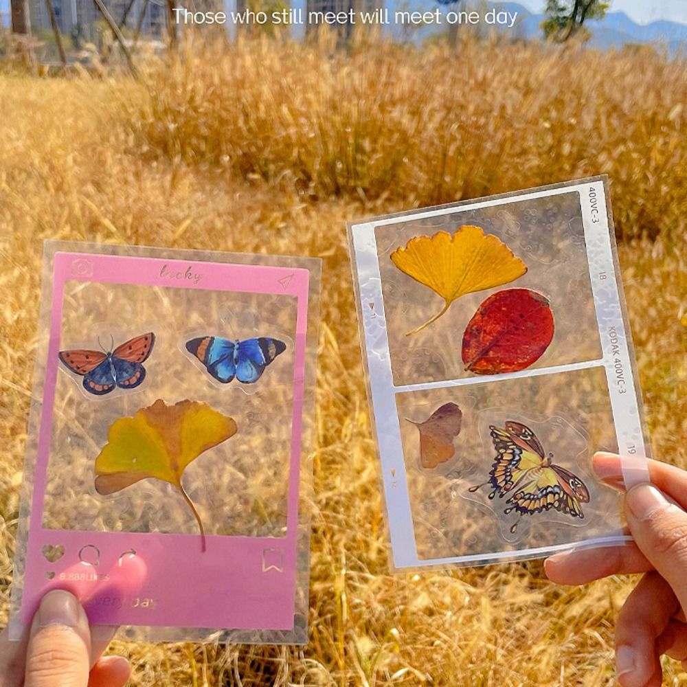 Materiais DIY: Marcadores de L - Dried Flower Bookmark avaliação e preço