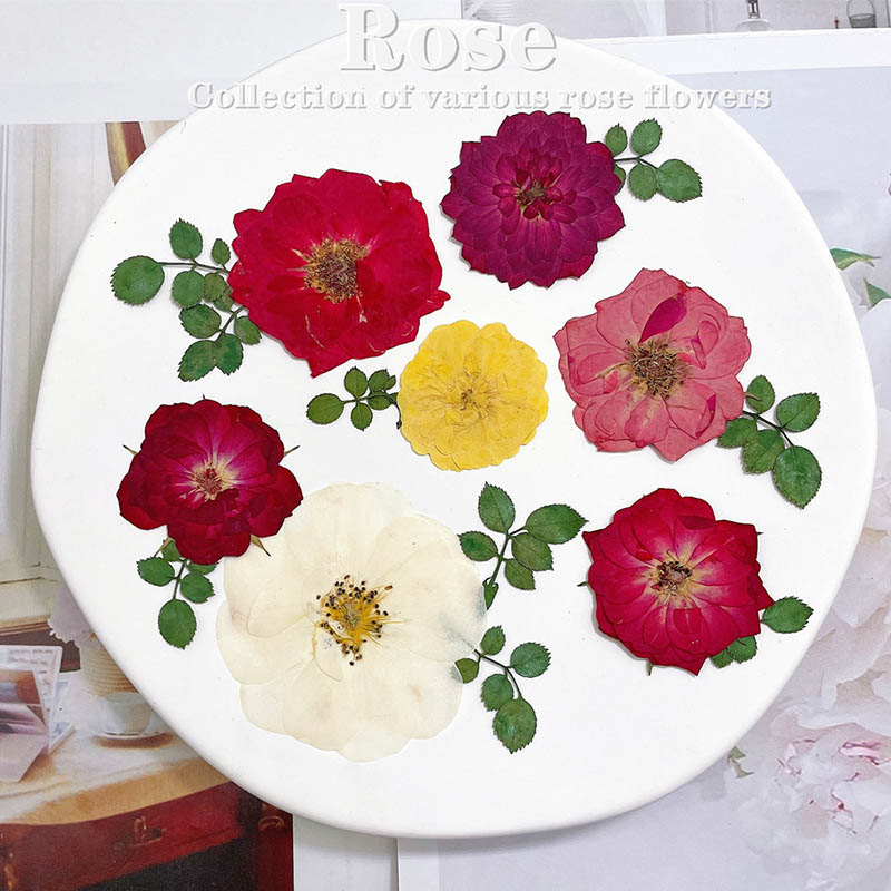 60 pçs pressionado seco vermel - Dried Flower Bookmark avaliação e preço
