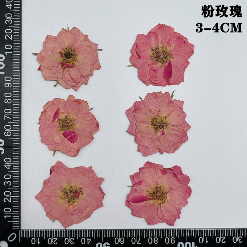 60 pçs pressionado seco vermel - Dried Flower Bookmark avaliação e preço
