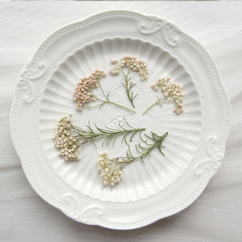 12 peças, Ramos de Flores de M - Dried Flower Bookmark avaliação e preço