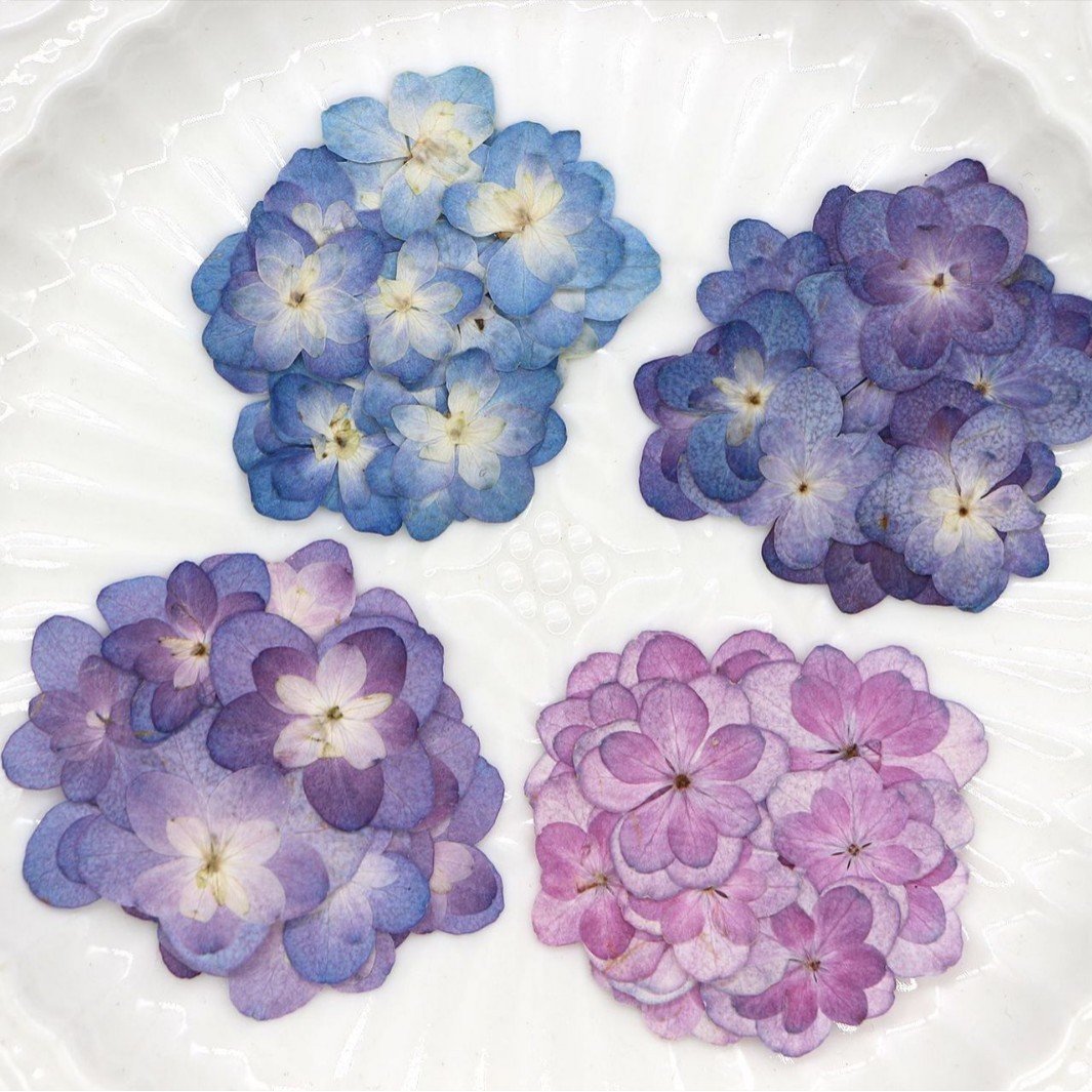 60 Peças de Mini Hortênsias Se - Dried Flower Bookmark avaliação e preço