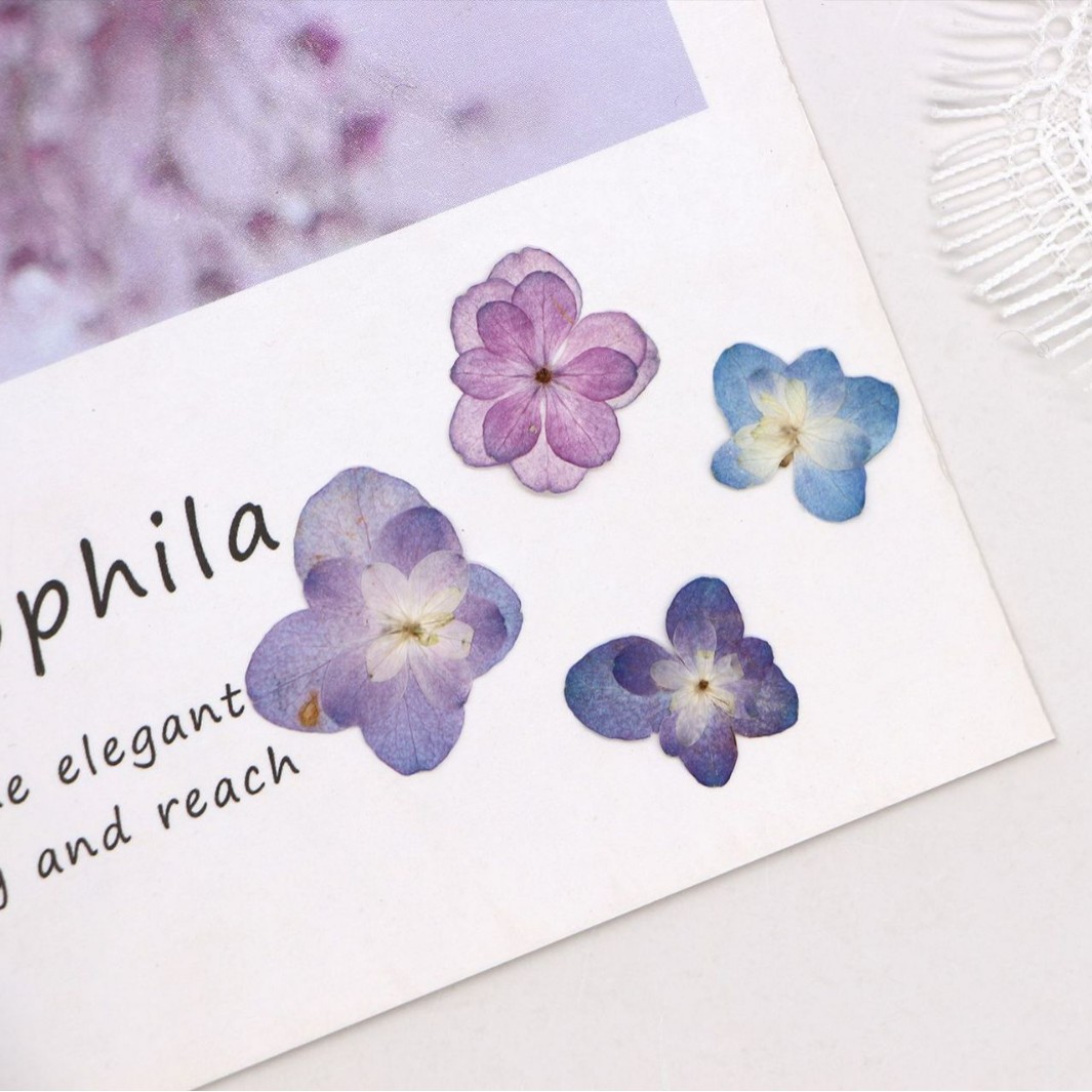 60 Peças de Mini Hortênsias Se - Dried Flower Bookmark avaliação e preço