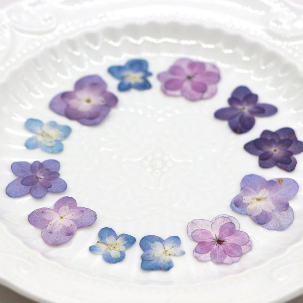60 Peças de Mini Hortênsias Se - Dried Flower Bookmark avaliação e preço