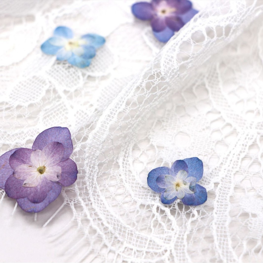 60 Peças de Mini Hortênsias Se - Dried Flower Bookmark avaliação e preço